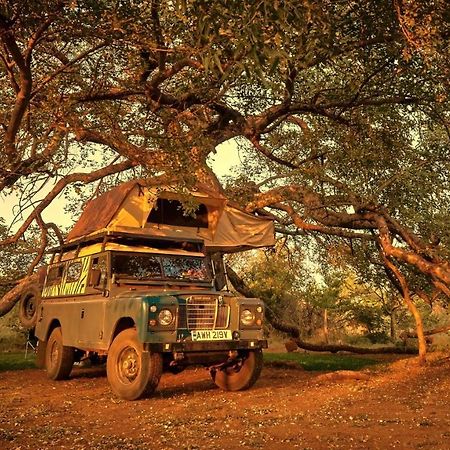Zuricamp - Campsite Halishi Tsumeb Ngoại thất bức ảnh