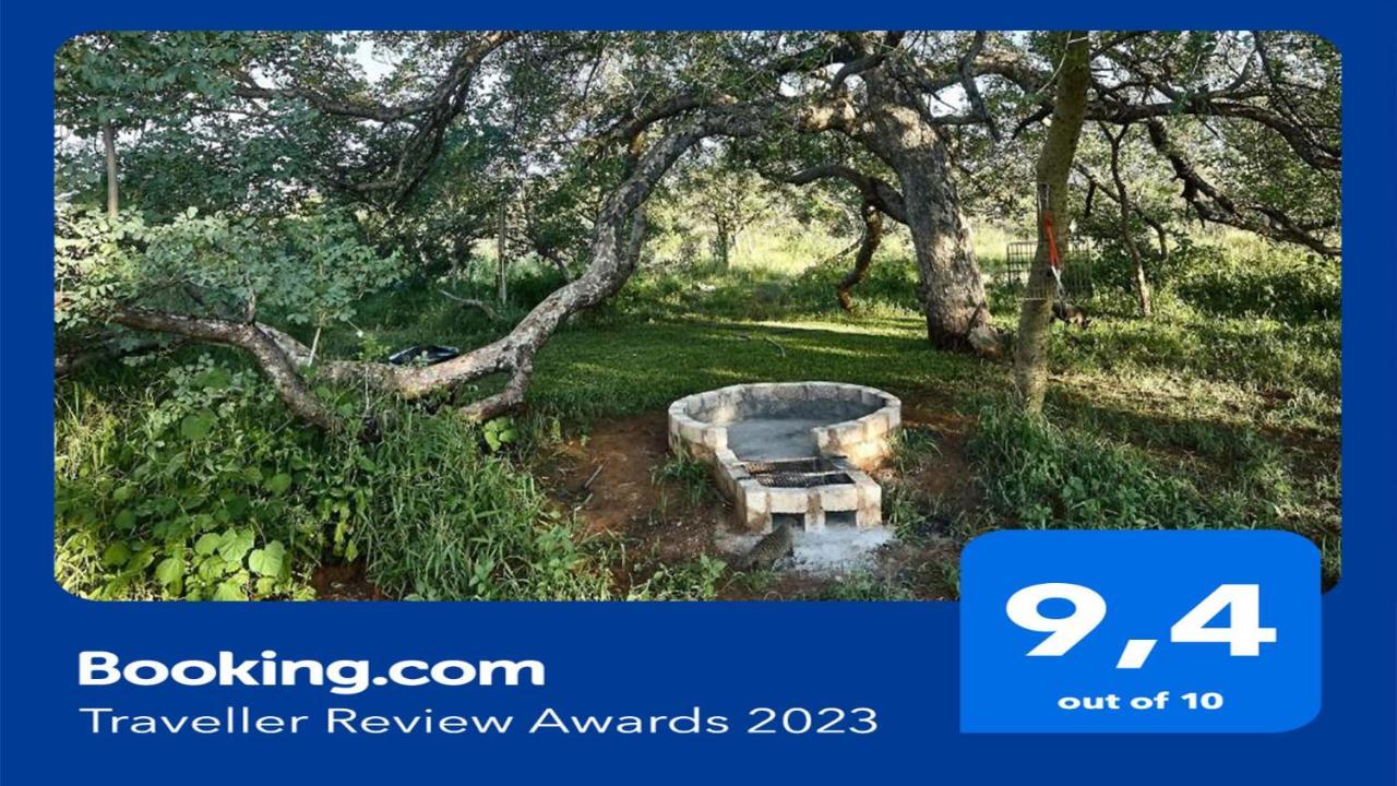 Zuricamp - Campsite Halishi Tsumeb Ngoại thất bức ảnh