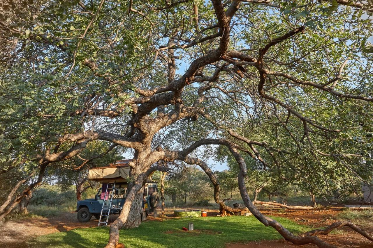 Zuricamp - Campsite Halishi Tsumeb Ngoại thất bức ảnh