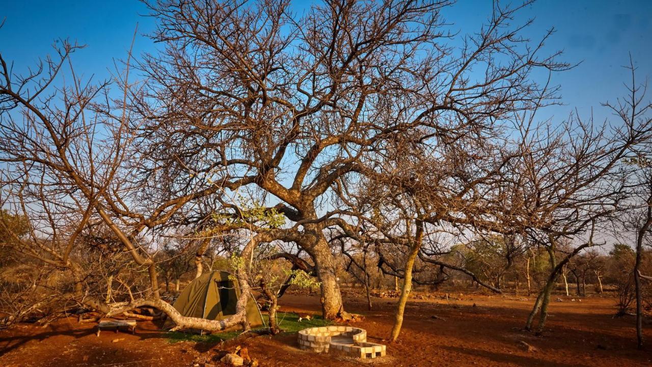 Zuricamp - Campsite Halishi Tsumeb Ngoại thất bức ảnh